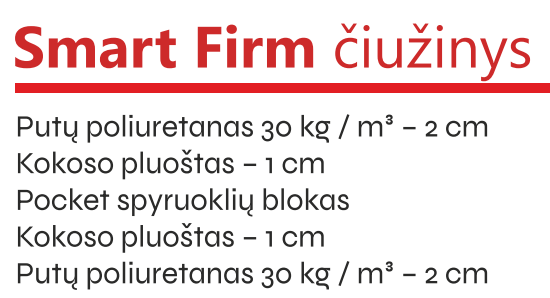 SMART FIRM - Image 3