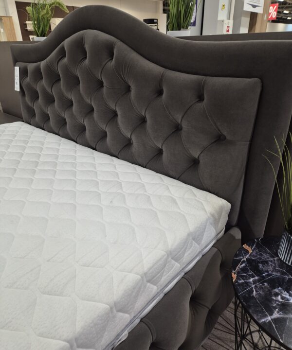 CHESTER BANGELĖ LOVA